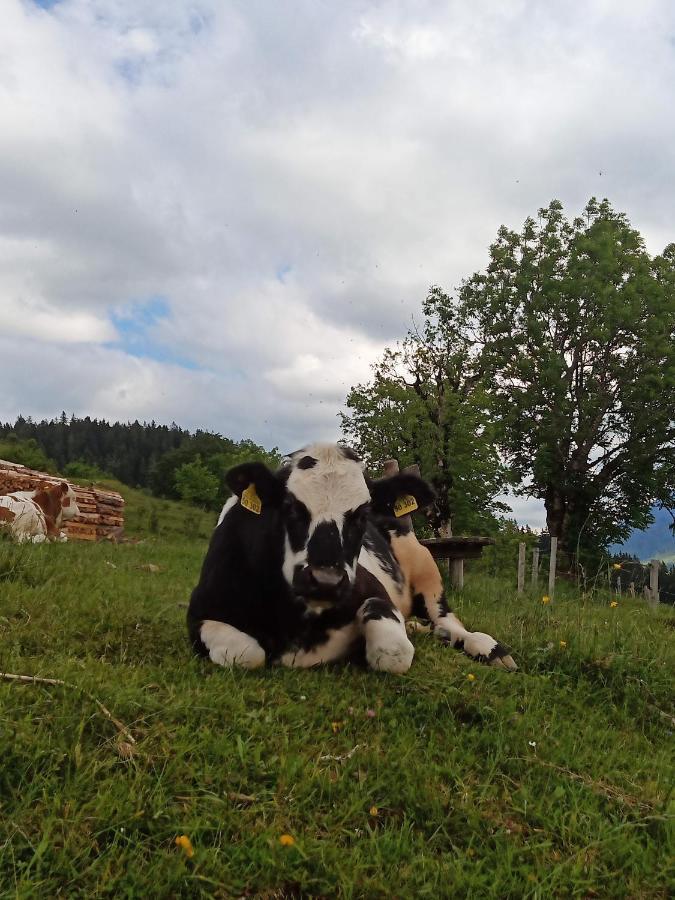 Haus Schwarzeck Lejlighed Ramsau bei Berchtesgaden Eksteriør billede